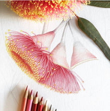 Botanical Drawing Workshop