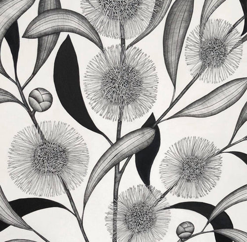 A3 Hakea Print Sale