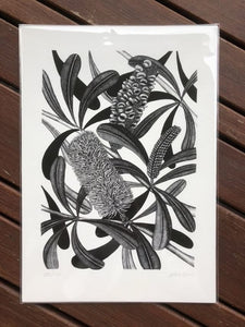 Coastal Banksia Limited Edition Print